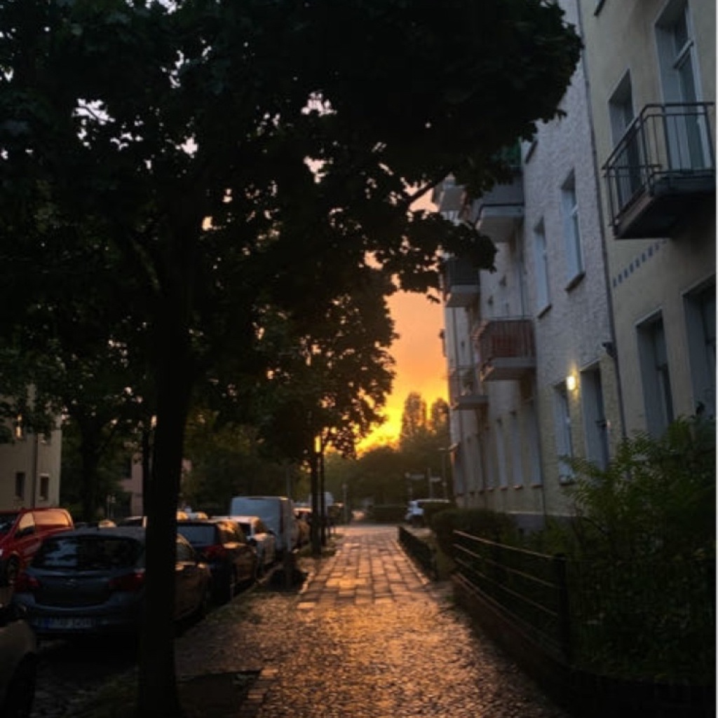 WG-Zimmer Oberschöneweide Wattstraße - Umgebung