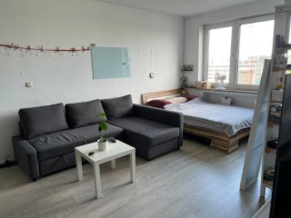 Furnished 22 m2 room in a 3-person flatshare in Bogenhausen, available for 9 months