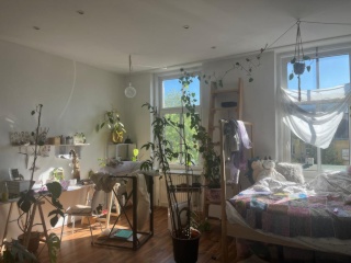 25 m² WG room in renovated Altbau, Penzing, Penzing