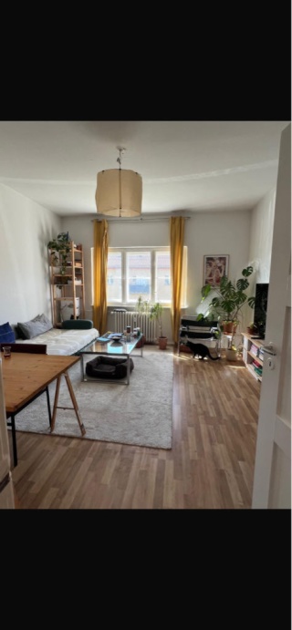 2 Zimmer Wohnung — photo 1