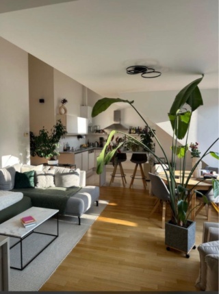 Мебльована кімната у WG, 15 м², Альзергрунд, Альзергрунд