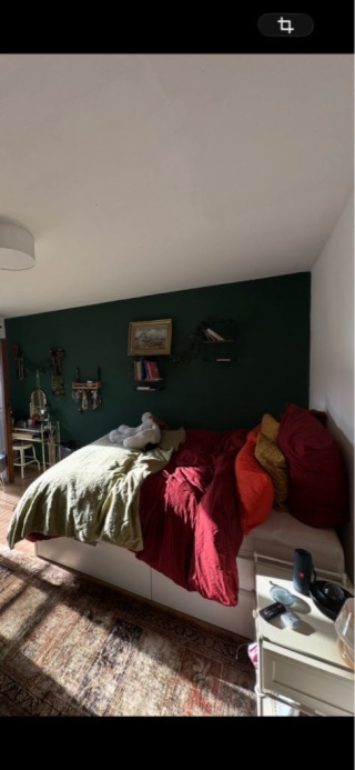2 Zimmerwohnung in Köln Raderthal (mit Katze)