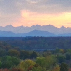 Anzeigenbild