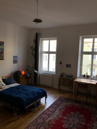 26 m² shared-flat room, Währing, Währing