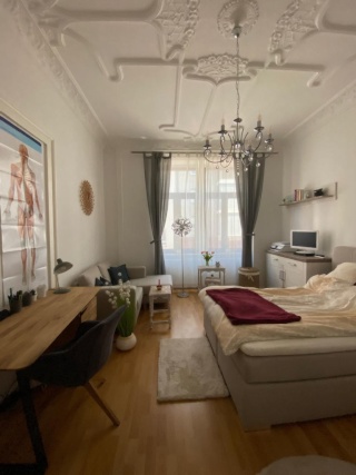 Ad image: Beautiful fully furnished old building WG room with stucco