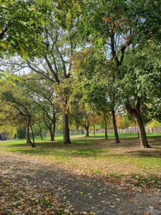 Кімната в оренду, 13 м², Леопольдштадт, Леопольдштадт