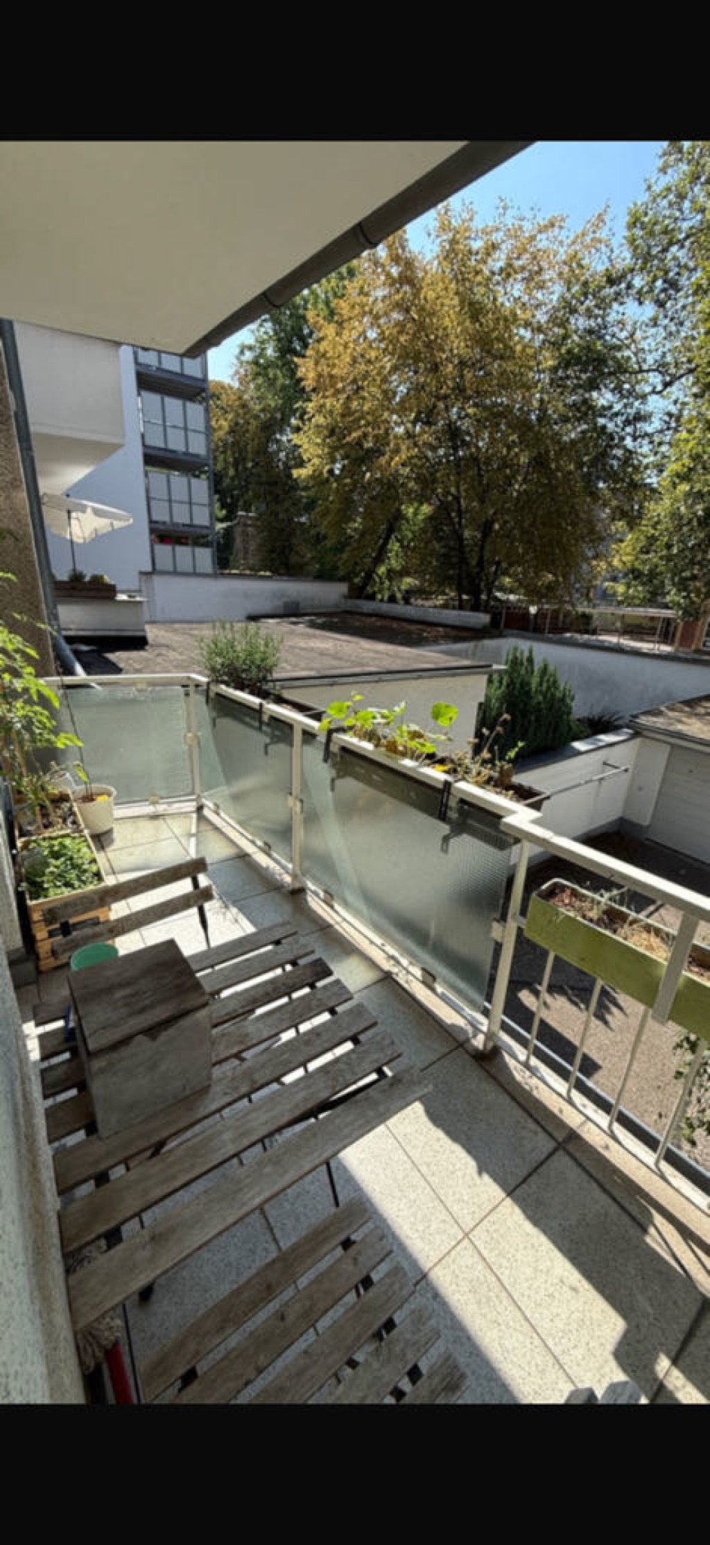 Wohnung Ehrenfeld Subbelrather Straße - süd-balkon