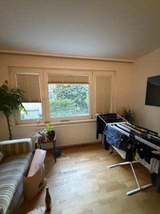 WG-Zimmer mit Klimaanlage, 25 m², Mariahilf, Mariahilf