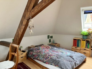 Anzeigenbild: 8.11 - 16.11 Urlaub in Freiburg in Traumwohnung