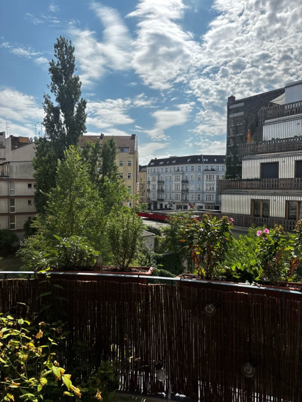 Wohnung Neukölln Donaustraße - Bild 8