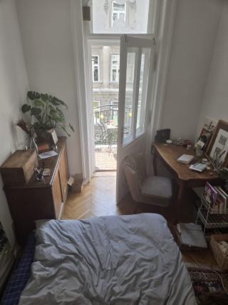 12-m² room in new shared flat, Josefstadt, Josefstadt