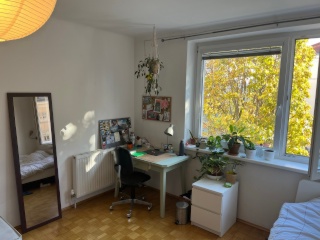 22 m² Shared-Flat Room in Josefstadt, Josefstadt
