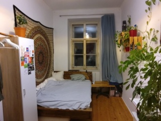 12-m²-WG-Zimmer, Josefstadt, 1080 Wien, Josefstadt