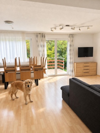 Shared room with garden, 20 m², Donaustadt, Donaustadt