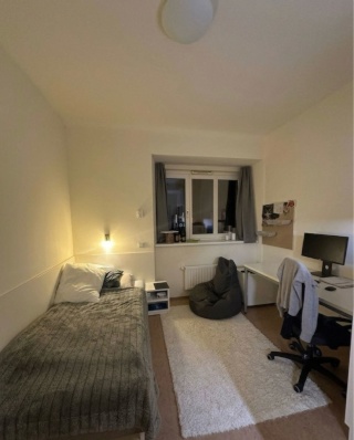 Möbliertes WG-Zimmer, 20 m², Josefstadt, Josefstadt