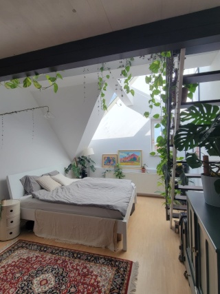 Möbliertes WG-Zimmer, 25 m², Josefstadt, Josefstadt